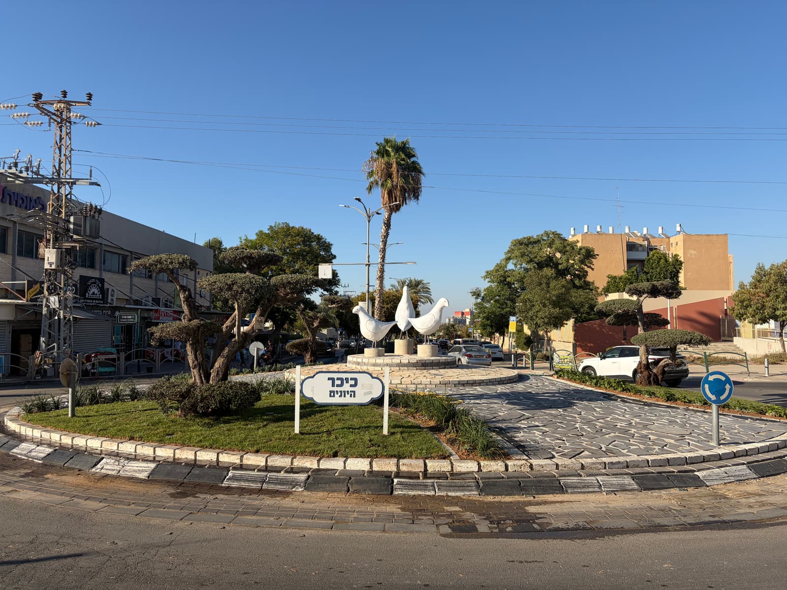 השלט הרשמי כיכר היונים על רקע הדשא, העצים המעוצבים והיונים שברקע